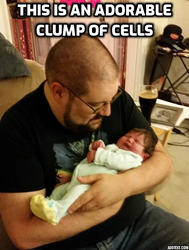 bob cells.png