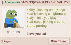 8wtz41d7mmw21.jpg