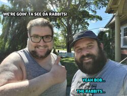 bob rabbits.jpg