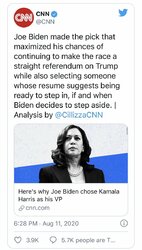 harris if and when biden steps aside.jpg