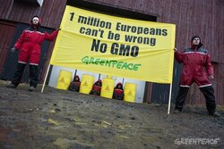 Greenpeace1Million.jpeg
