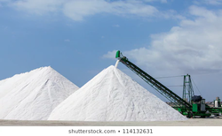 salt (1).png