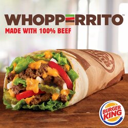 1470674731-01043-01-whopperrito-pr-image-cr28.jpg