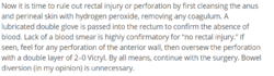 rectum.PNG