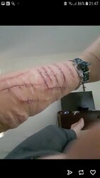 Screenshot_20200906-214716_Tumblr.jpg