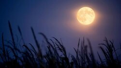 harvest-moon-1-gty-er-190910_hpMain_16x9_992.jpg