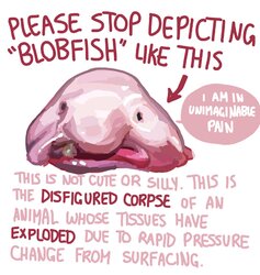 blob.jpg