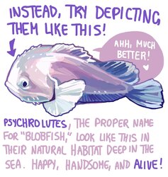 fish.jpg