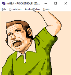 pocketgolf3.png