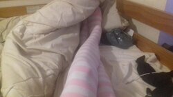 socks.jpg socks.jpg