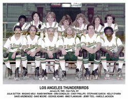 1985-Thunderbirds-Jan.jpg