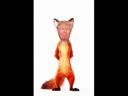 D63E496E-EA07-4B0B-AF1F-CB7F4B32F0A9.jpeg