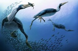 hesperornis-jaime-chirinos.jpg