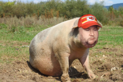 hoofed gunt.png
