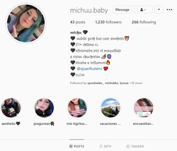 michuu.baby profile.png