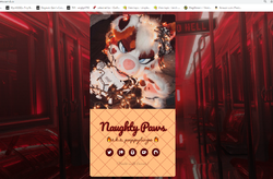 naughtypaws site.png