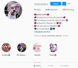 vixenpaws profile.png