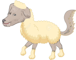 null sheep.png
