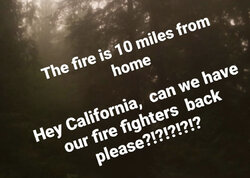 DB283E17-3ADB-47AC-BF74-3C64AFB80433.jpeg