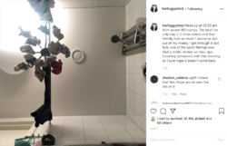 Screenshot_2020-08-22 Frankie's ( herfoggymind) Instagram profile • 6,437 photos and videos(20).png