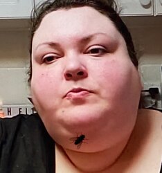 mosca.jpeg