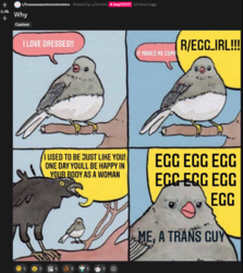 1600046621718.png