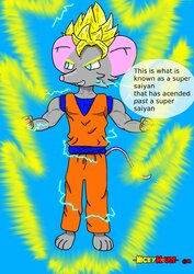 1486948972.-nickymouse-_ssj3_panel3downscaled.jpg