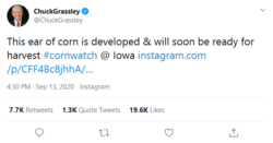 Screenshot_2020-09-14 ChuckGrassley on Twitter.png
