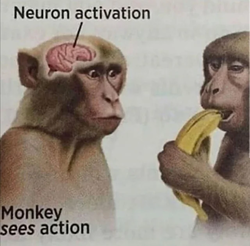 Neuron.png