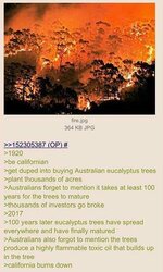 1600236355108.jpg