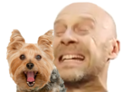 25005-thumb.png