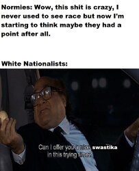 398.jpg