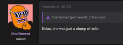 8.PNG