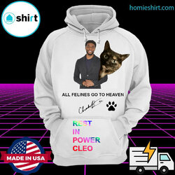rip-chadwick-boseman-black-panther-thank-you-for-the-memories-signature-shirt-Hoodie.jpg