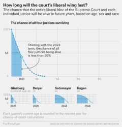 roeder-con-court-window-2.png