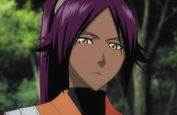 Ep246YoruichiShihōin.png