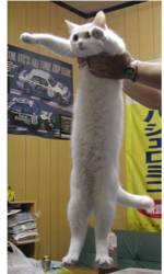 1600640425610.png