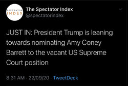 the plot thickens.jpg