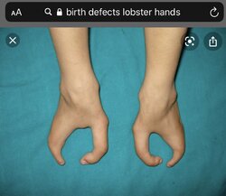 FFEF601C-C4AA-4830-8530-DC2FD6AD936A.jpeg