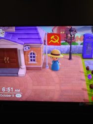 Untitled.png