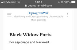 816597B2-488D-4439-ADDA-9F3DF7B7D89B.jpeg