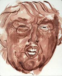 Whatever-Bloody+Trump.jpg