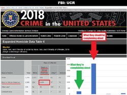 MurderStats2018.jpg