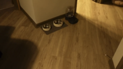 FA1E726C-E95D-4DE1-956C-D7B49DAE3CCC.png
