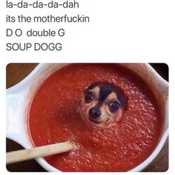 15994529905405348827303773861786.jpg