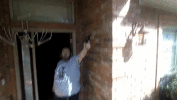 TheZapruderBoogie_Normal.gif