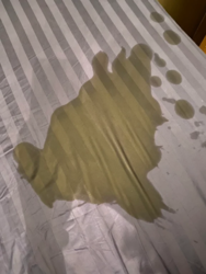1601586115279.png