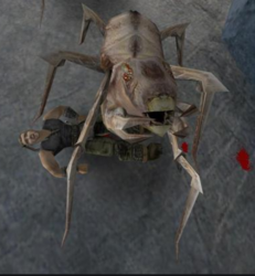 minecrawler.png