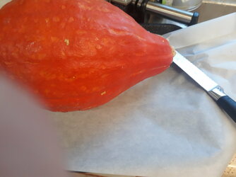 20201003_112808.jpg