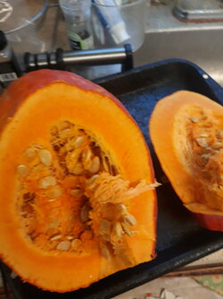 20201003_113404.jpg